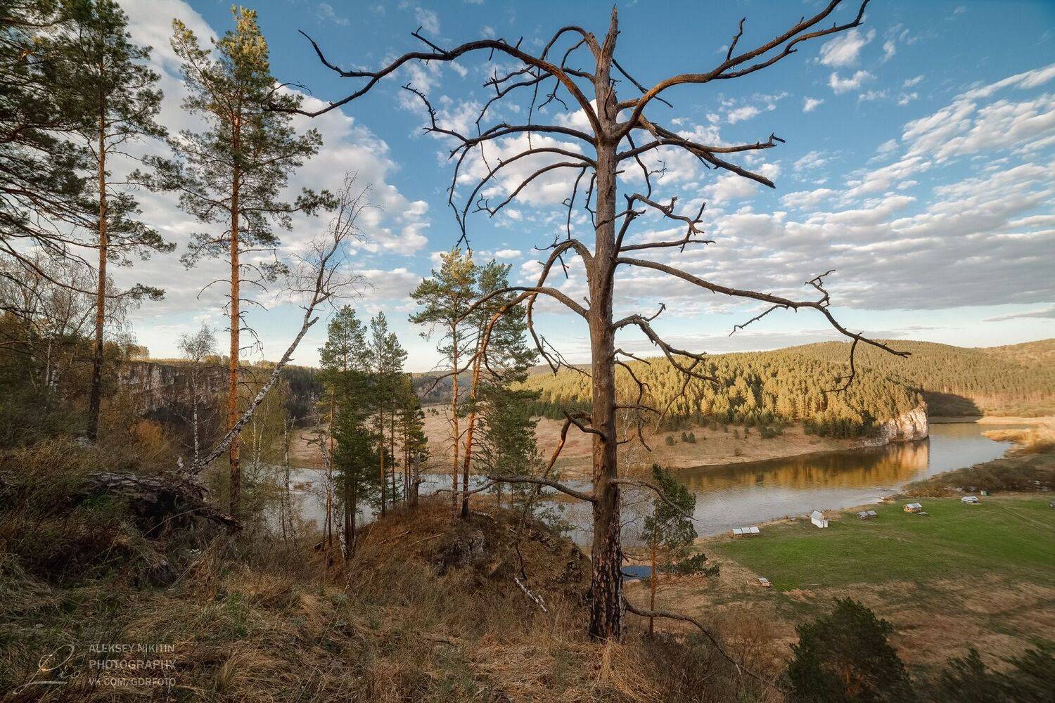 , Алексей Никитин