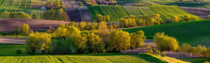 Spring explosion фото превью