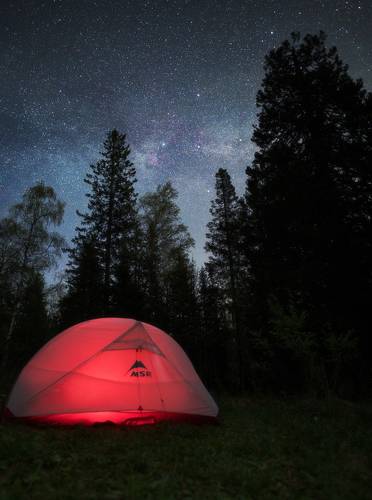 Под созвездием Лебедя
