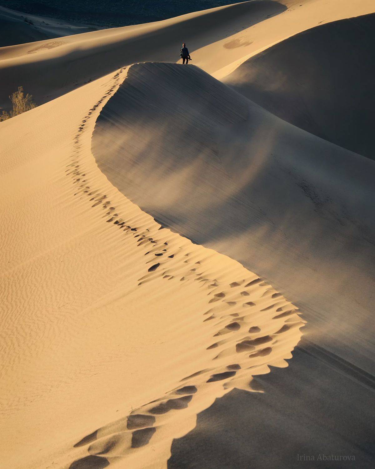 алтын-эмель, поющий бархан, казахстан, дюна, бархан, пустыня, Ирина Абатурова