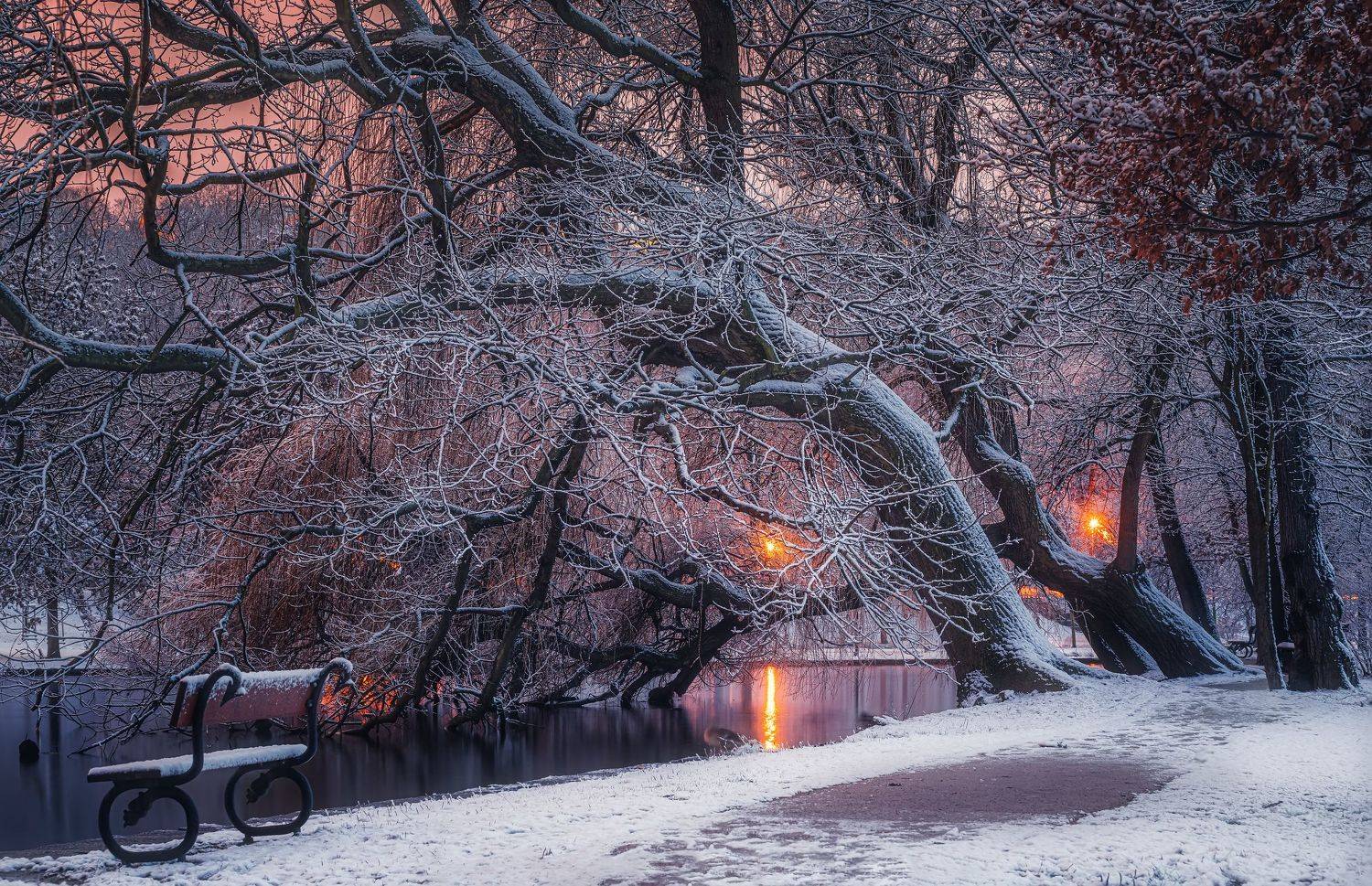  Нет людей  на улице  фотография  зима  снег  дерево  природа  Вода Природа  Холодная температура  день  Пейзаж   небо  спокойствие  Красота в природе  лес  Спокойная сцена  мороз , Андрей Ожерельев