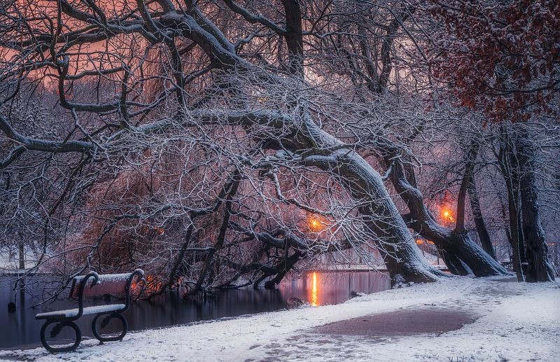 Нет людей  на улице  фотография  зима  снег  дерево  природа  Вода Природа  Холодная температура  день  Пейзаж   небо  спокойствие  Красота в природе  лес  Спокойная сцена  мороз  Зимние вечера в Праге. фото превью