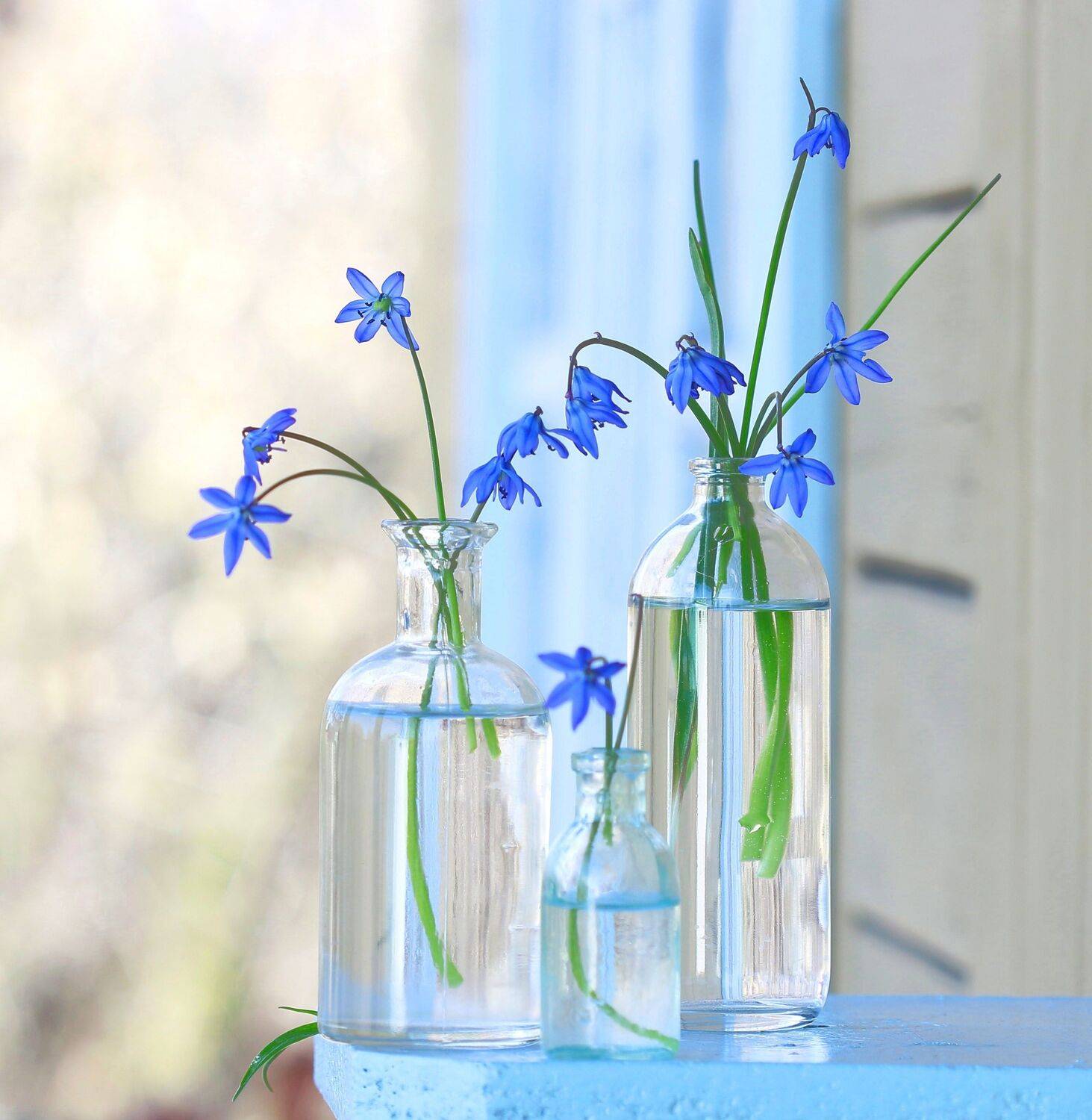 натюрморт, фотонатюрморт, весна, цветы, наталья казанцева, Наталья Казанцева