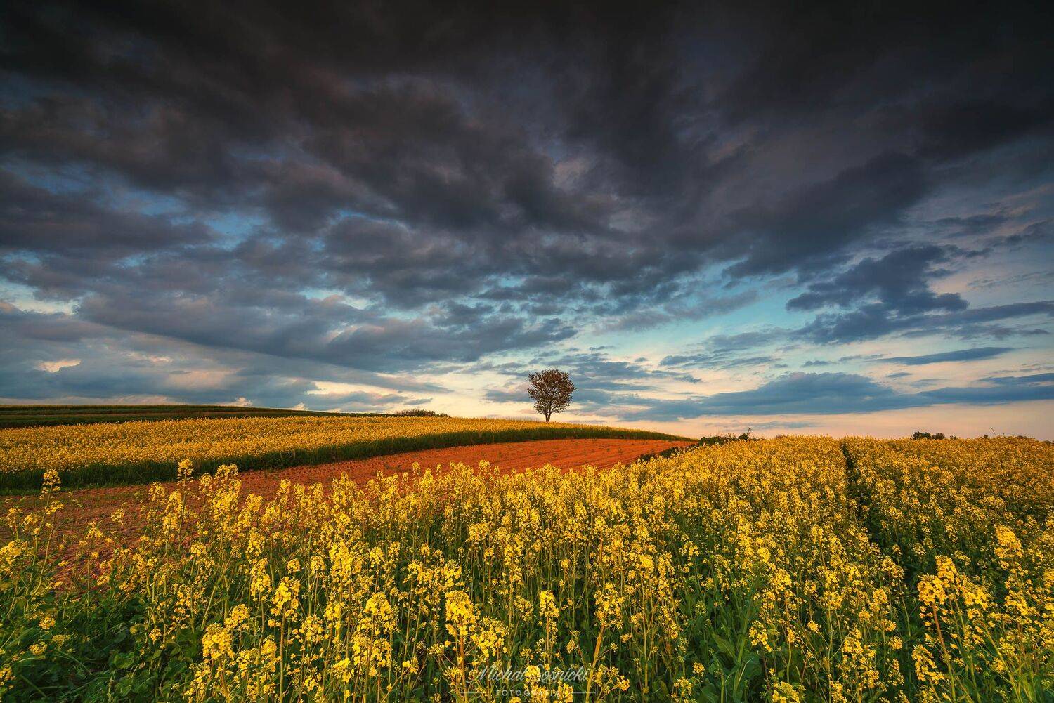 #sun #sunset #color #poland #tree #roztocze #pentax #szczebrzeszyn #best #nature, Michał Sośnicki
