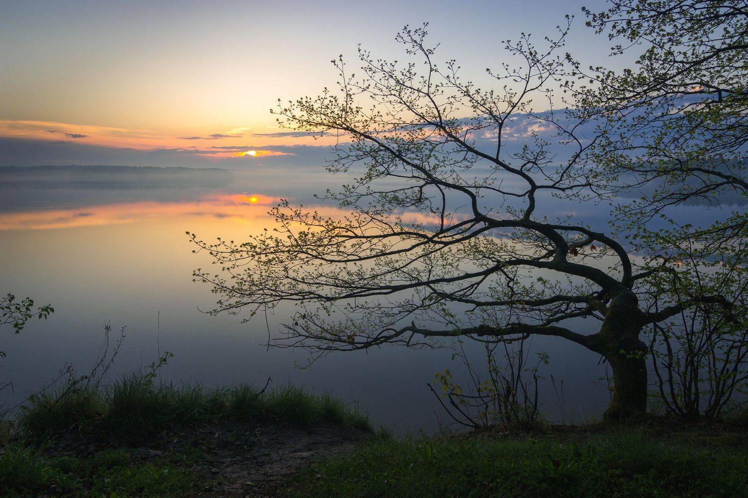 туман, московская область, утро, природа, пейзаж, рассвет, водохранилище,  солнце, Александр Кыров
