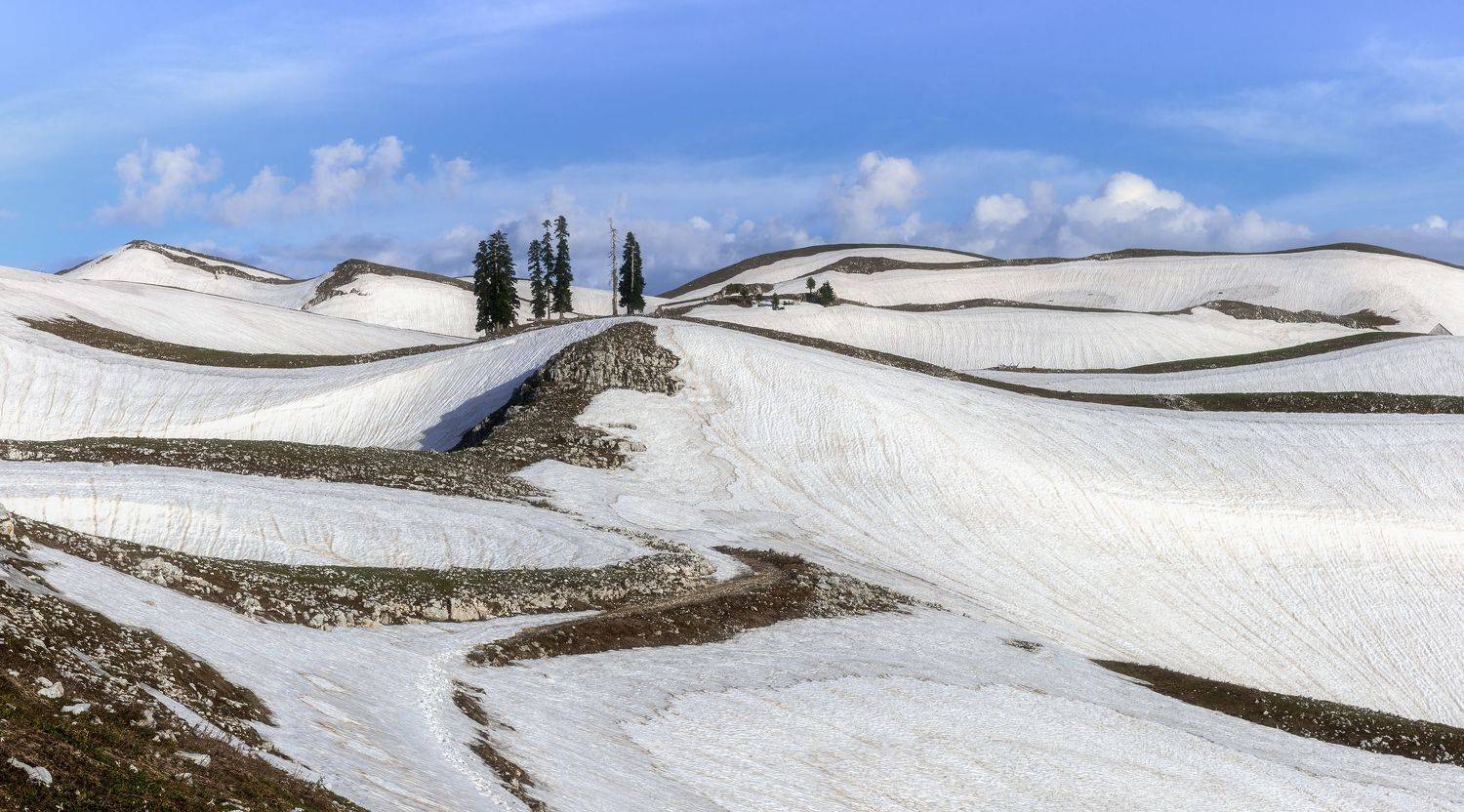 , Анна Пакутина