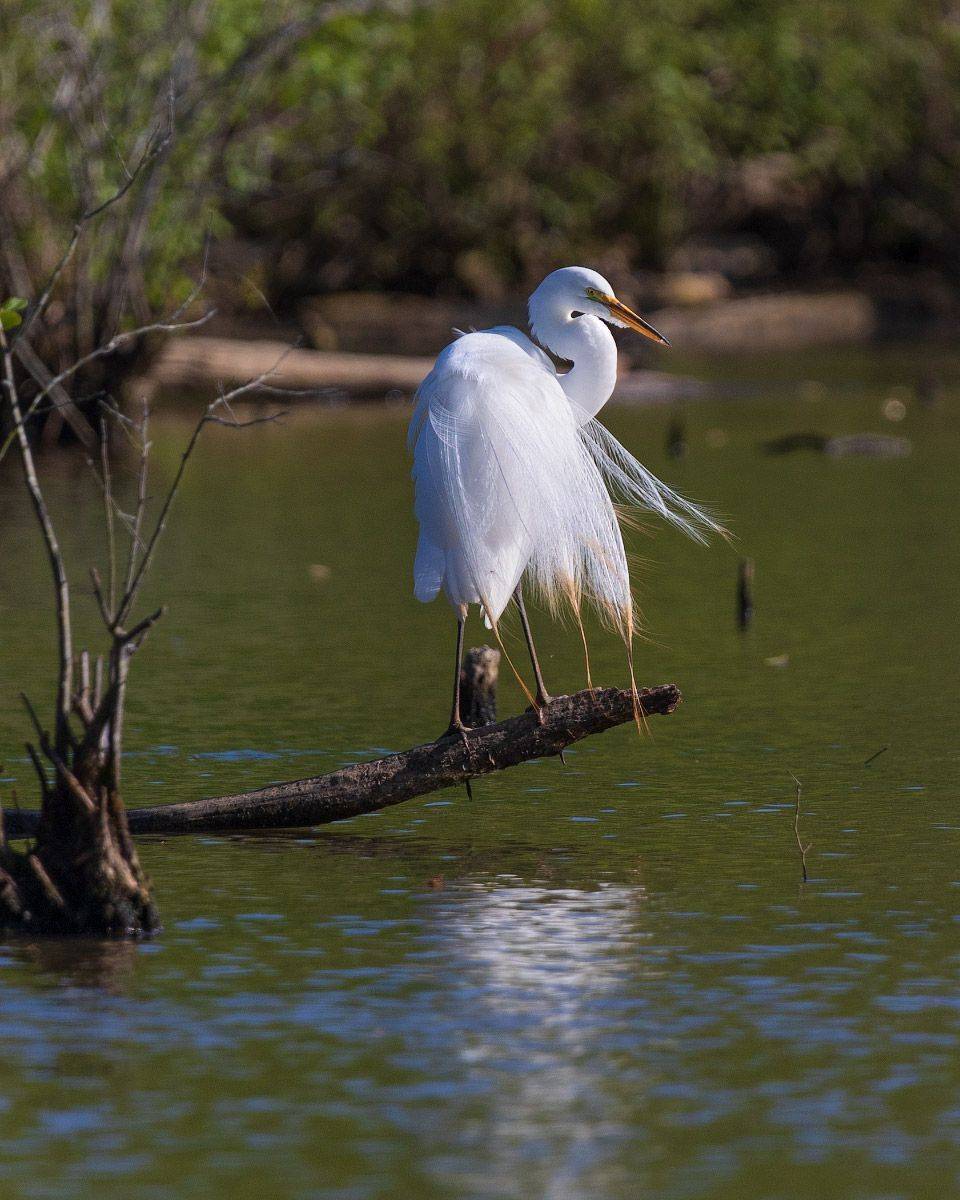 , Леонид Дьяченко