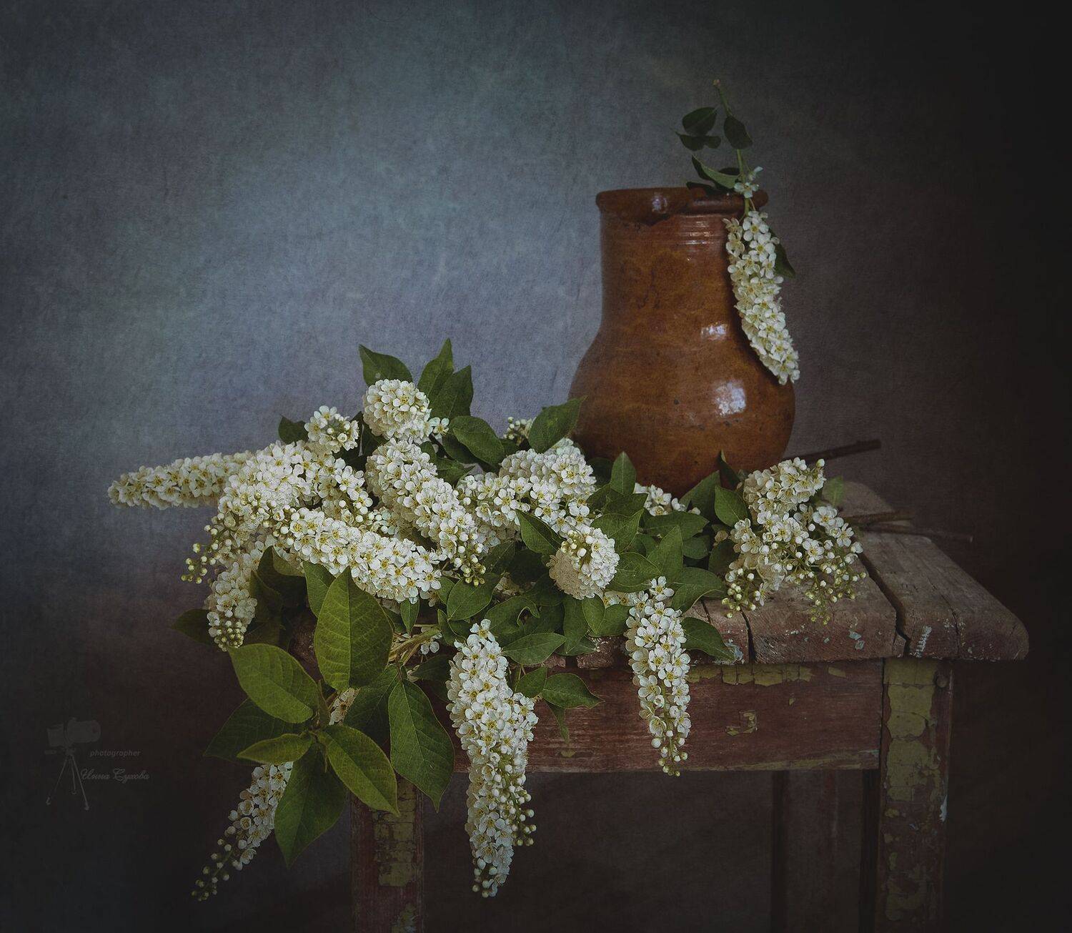 , Инна Сухова