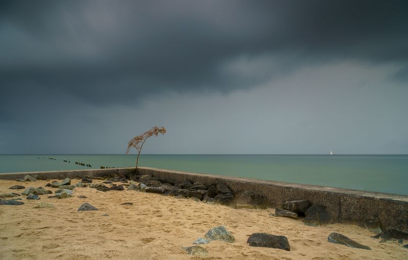 poland, hel, sea, baltic, cloud, rain, last, tree Hel фото превью
