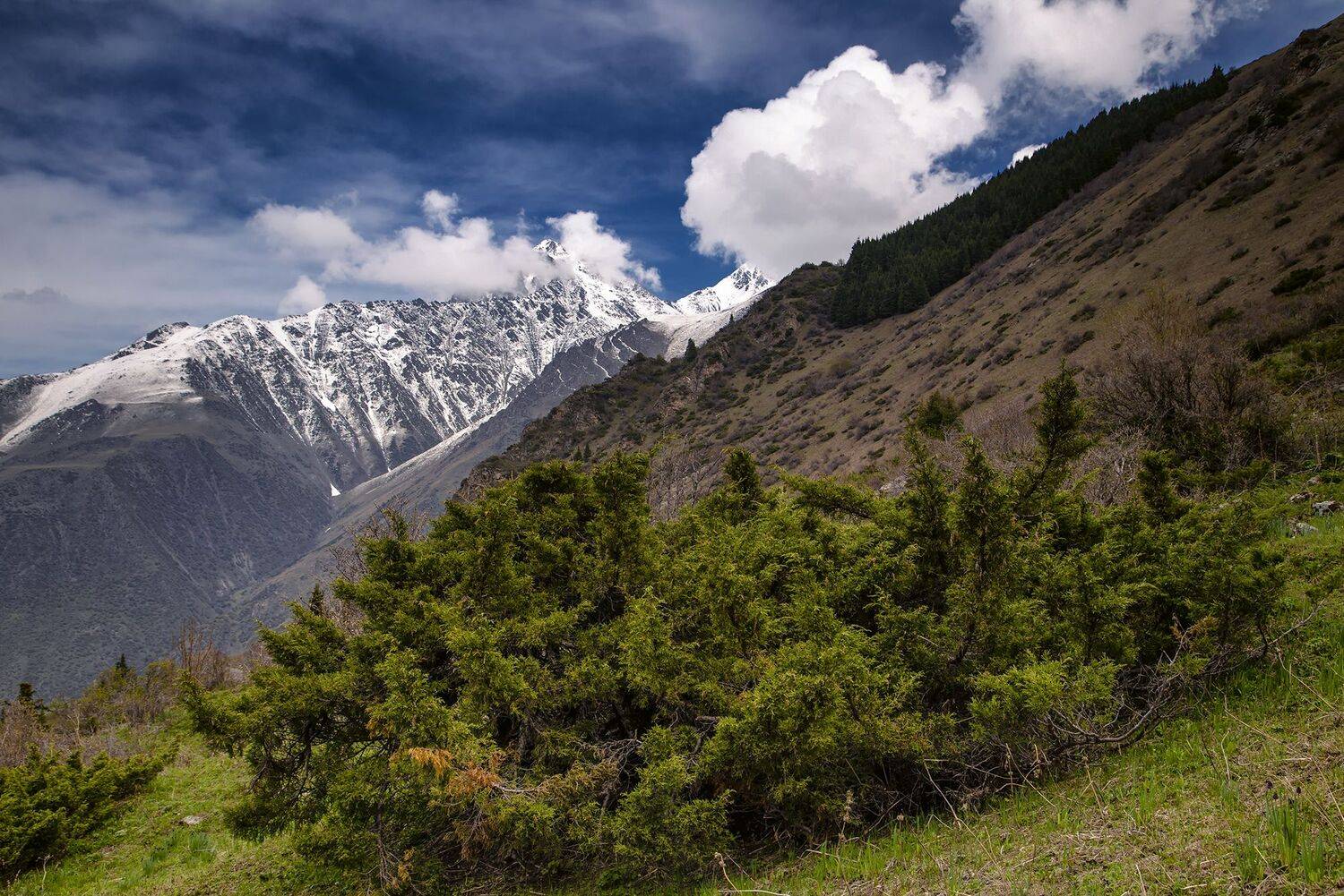 кыргызстан, горы, Элина Магалимова