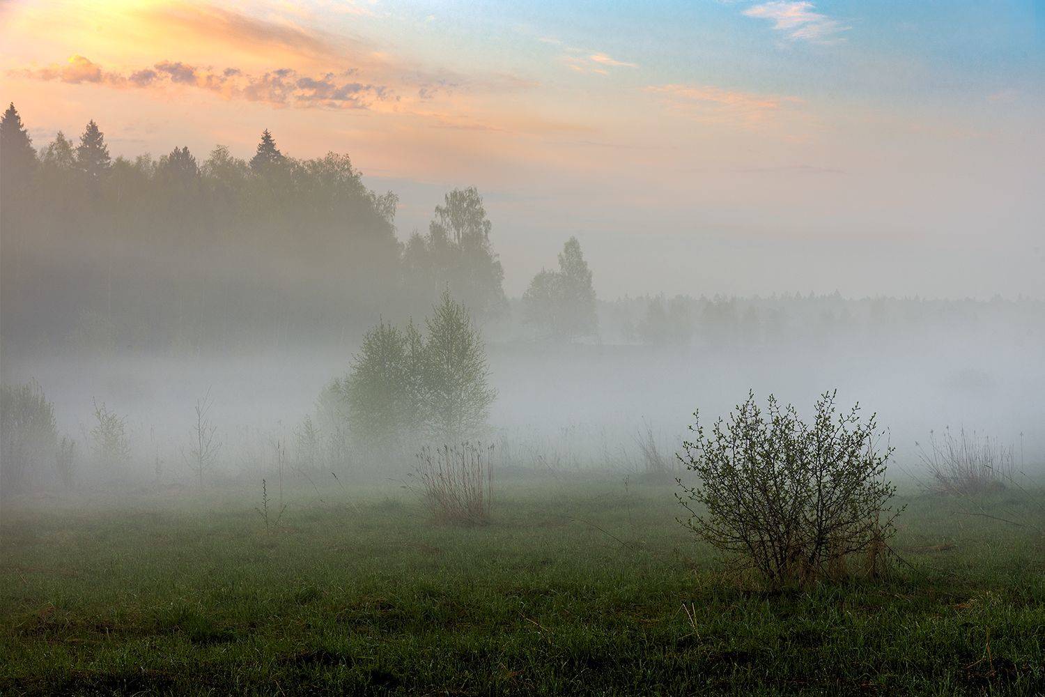 , Дмитрий Асеев