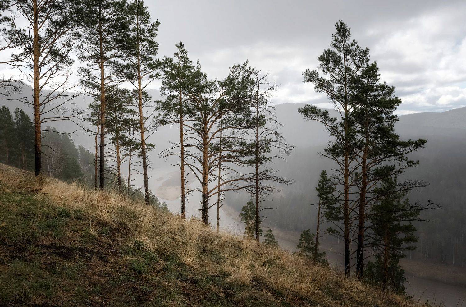 мана, склон, весна,дождь., красноярский край., Марина Фомина