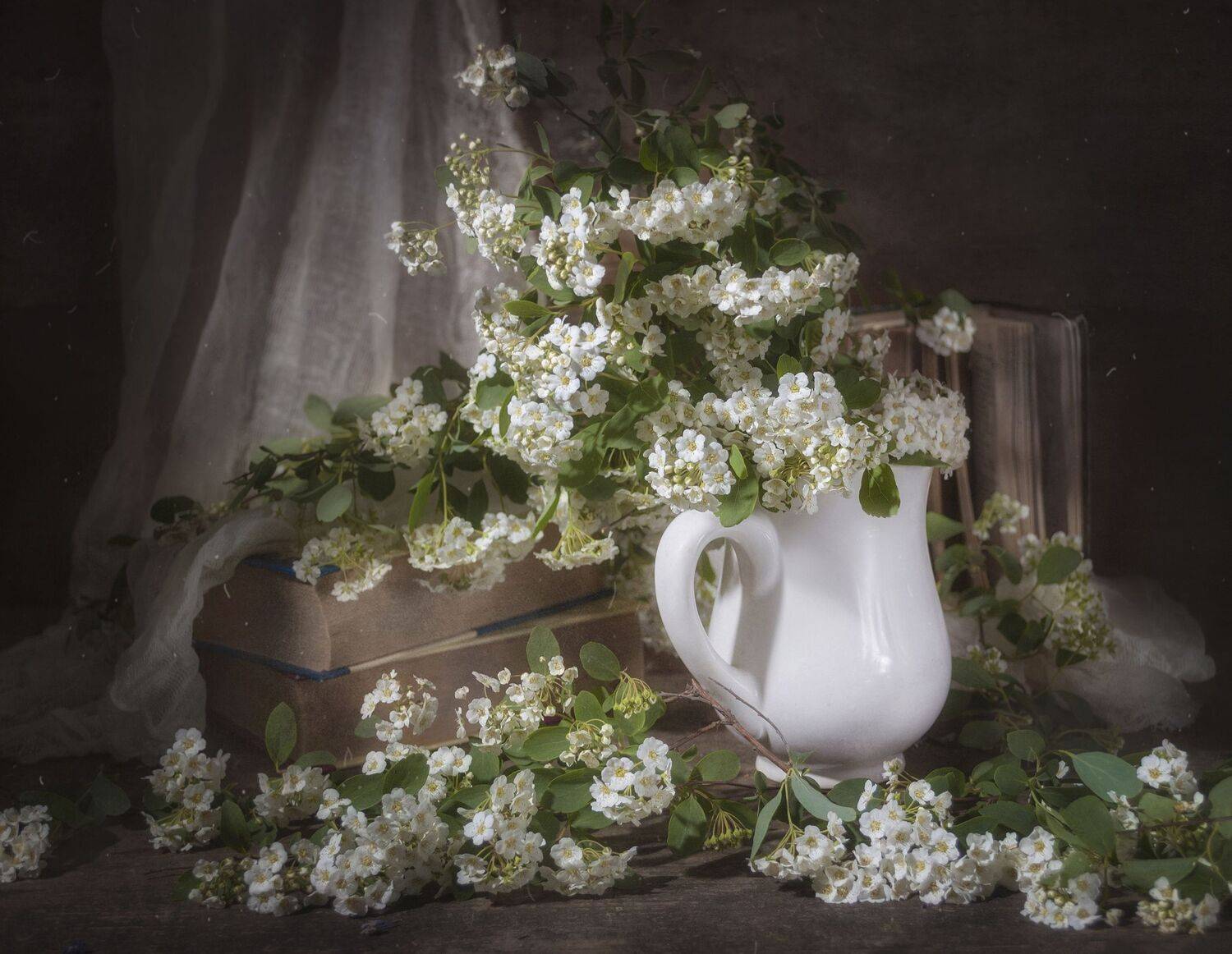 спирея,цветение,весна,текстура,тёмный,кружка,книги,цветы,белый, Владимир Володин