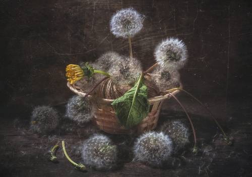 Последний...