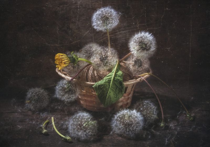 Последний... фото превью