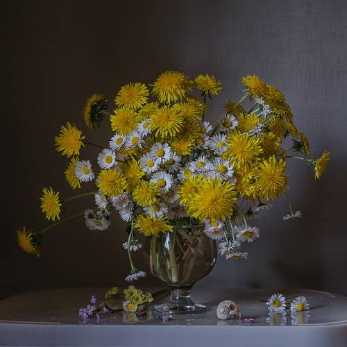 Одуванчики и маргаритки