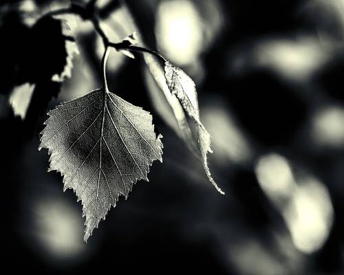 Весенний этюд