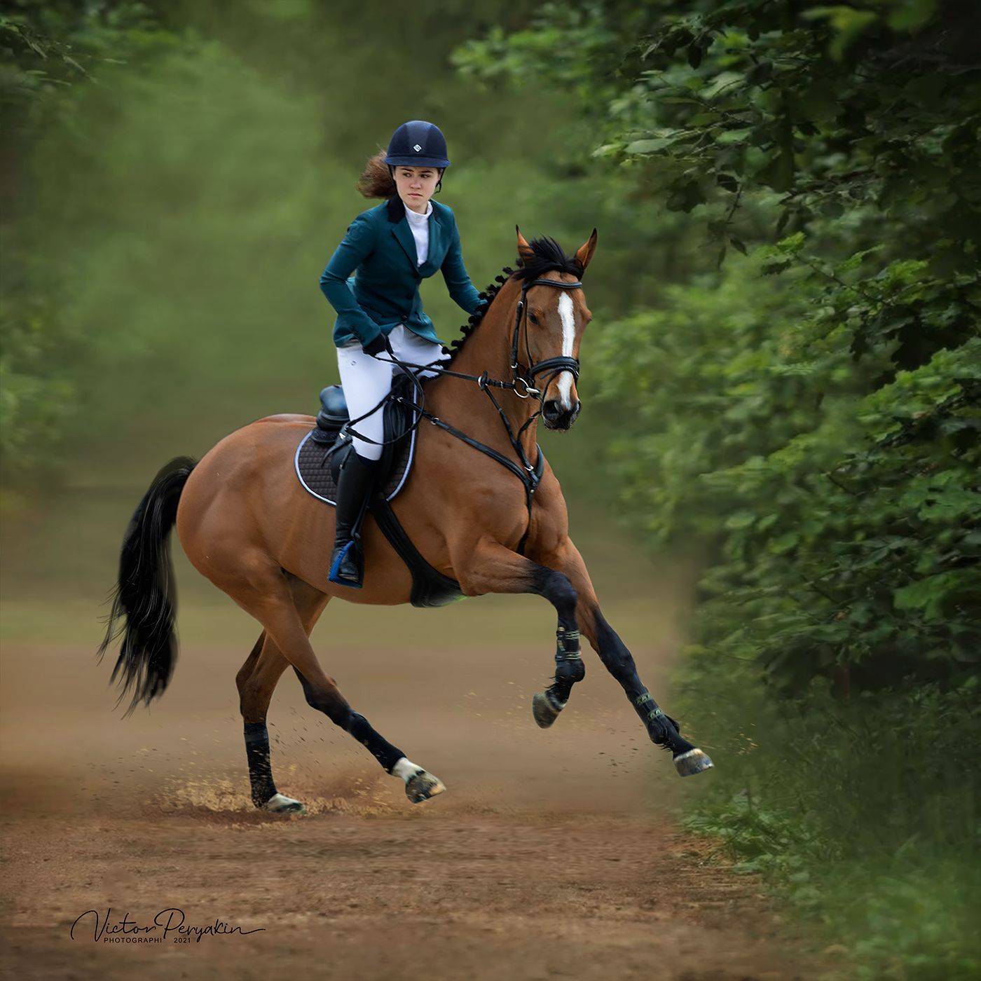 , Виктор Перякин