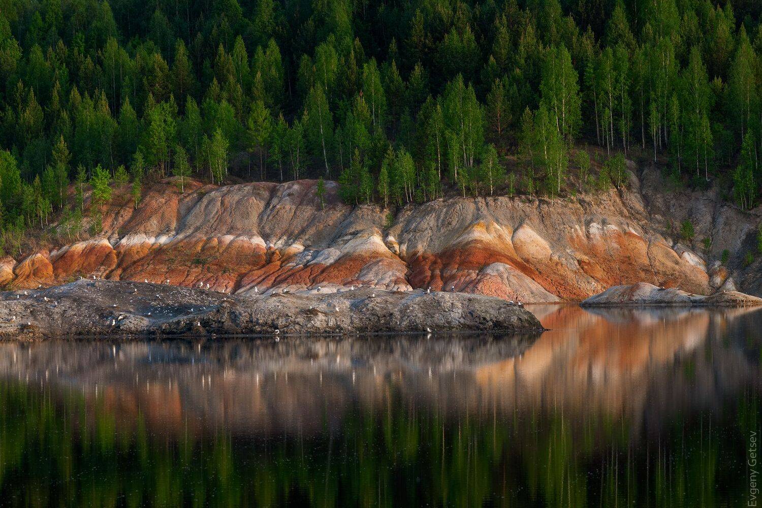 пейзаж, отражения, деревья, Евгений Гецев