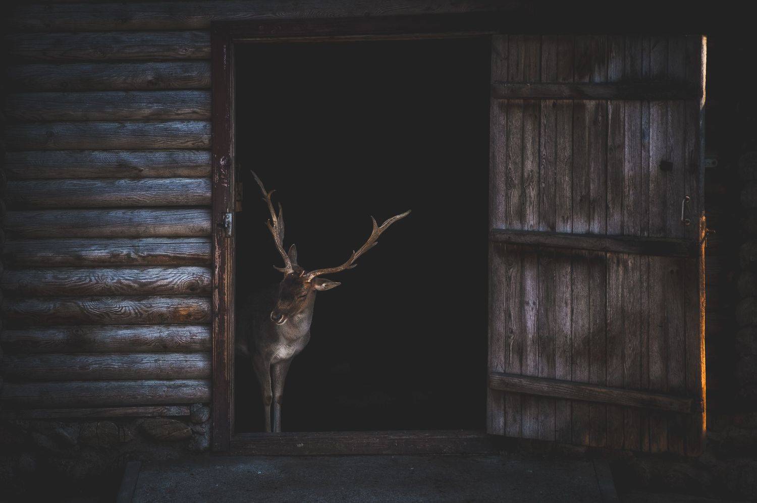 , Григорий Крамаренко