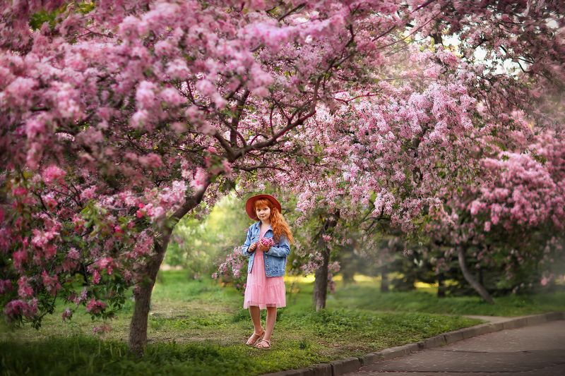 *** фото превью