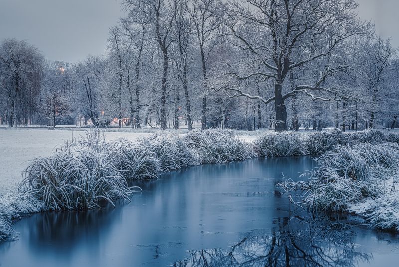 Нет людей  на улице  фотография  зима  снег  дерево  природа  Вода Природа  Холодная температура  день  Пейзаж   небо  спокойствие  Красота в природе  лес  Спокойная сцена  мороз  Зимние вечера в Праге. фото превью