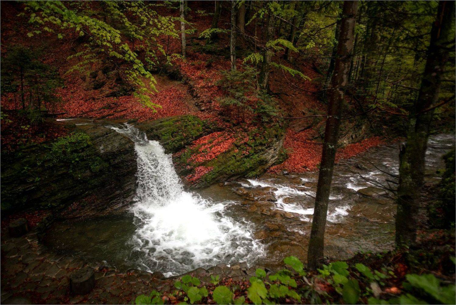 , Рудченко Анатолий