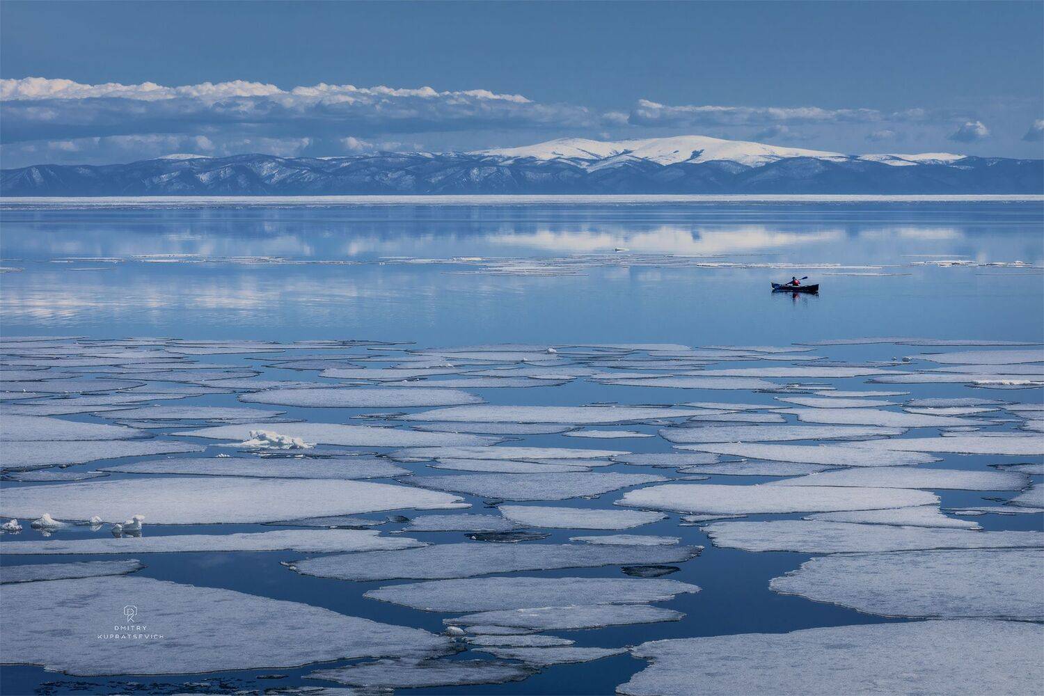 , Дмитрий Купрацевич