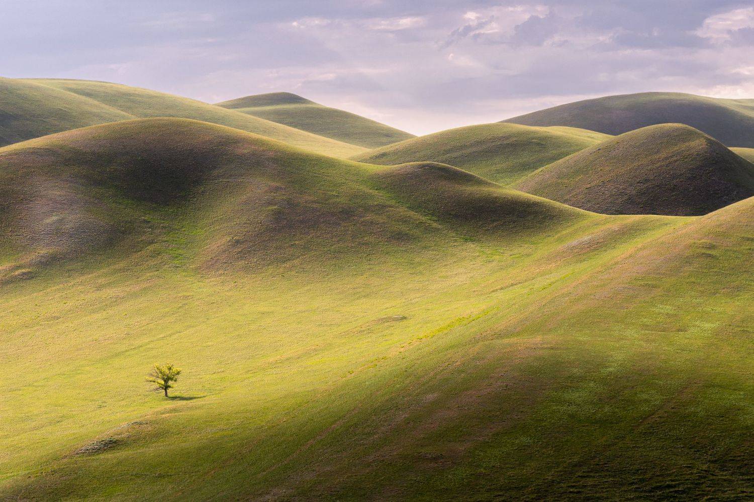 один,  Евгений