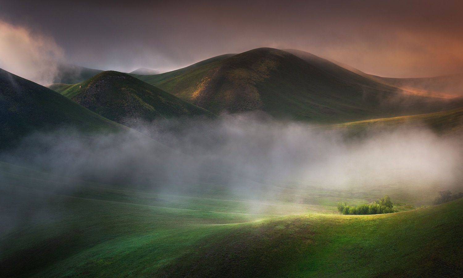 , Татьяна Бирюкова