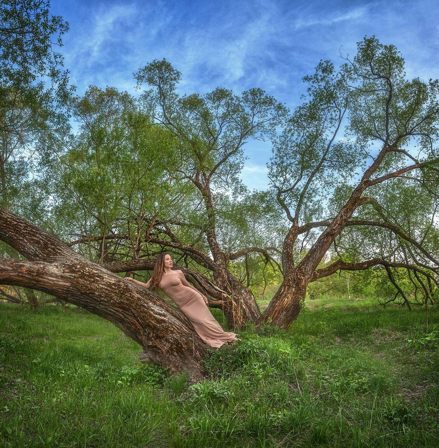 , Николай Андреев
