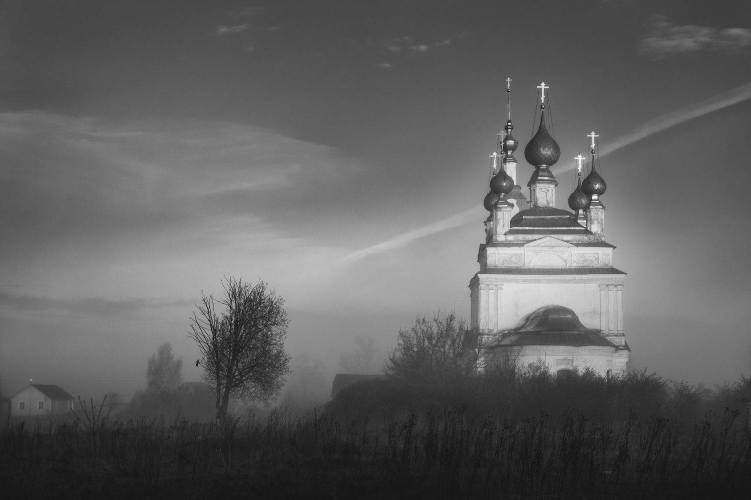 , Александр Стрельчук