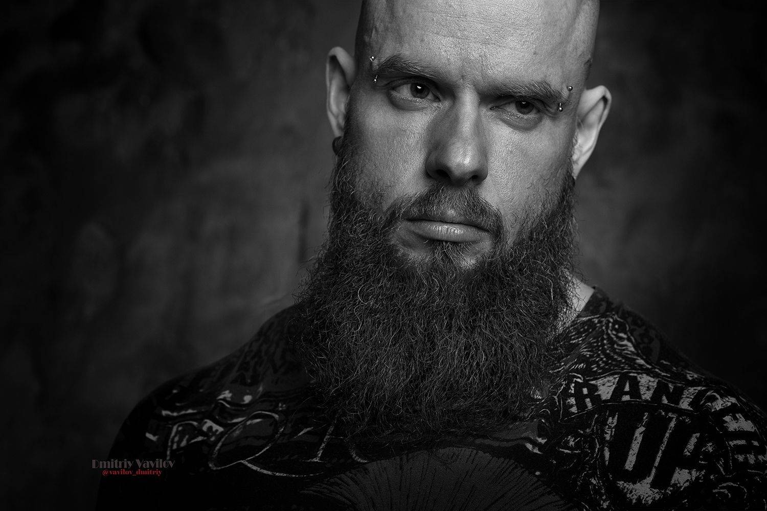 art_vavilov, Дмитрий Вавилов