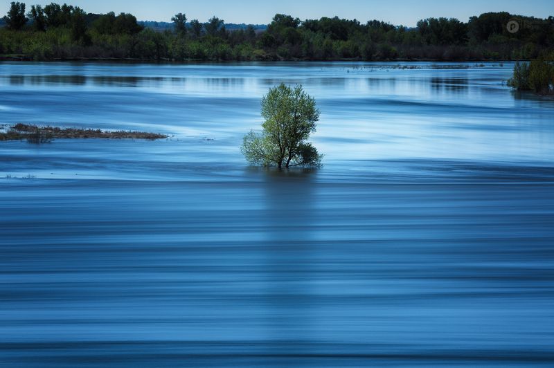 половодье Просторы родного края фото превью