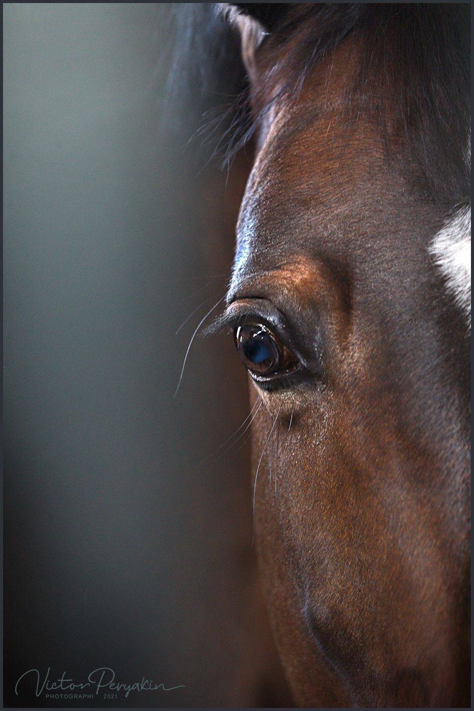 , Виктор Перякин