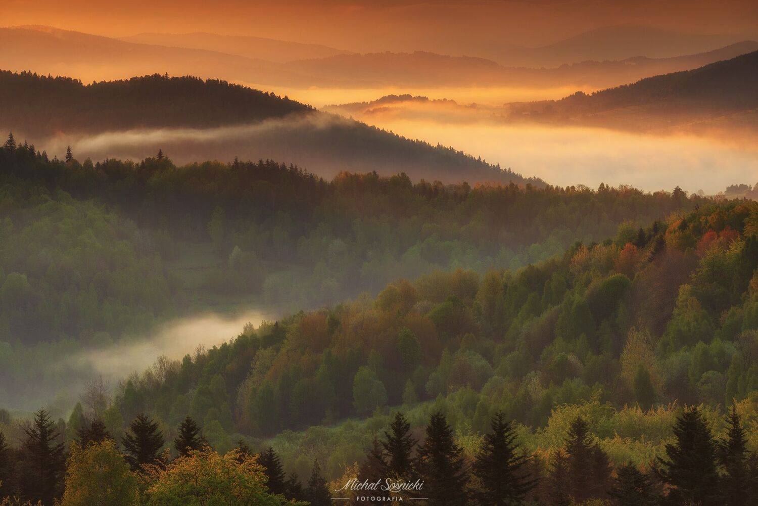 #magic #poland #pentax #benro #landscape #sky #nature #sunset #sunrise #spring #tree, Michał Sośnicki