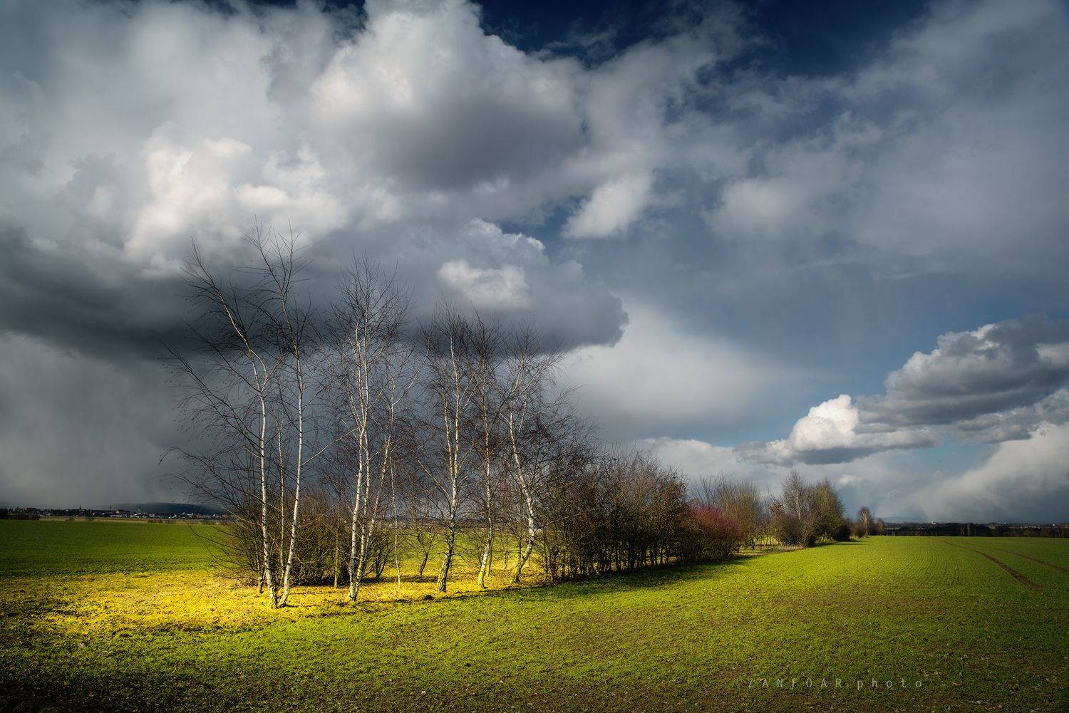 весенние сцены ,весна, деревья, поля, облака ,zanfoar,занфоар,czech republic,moravia,bohemia,чешская республика,чехия, Zanfoar