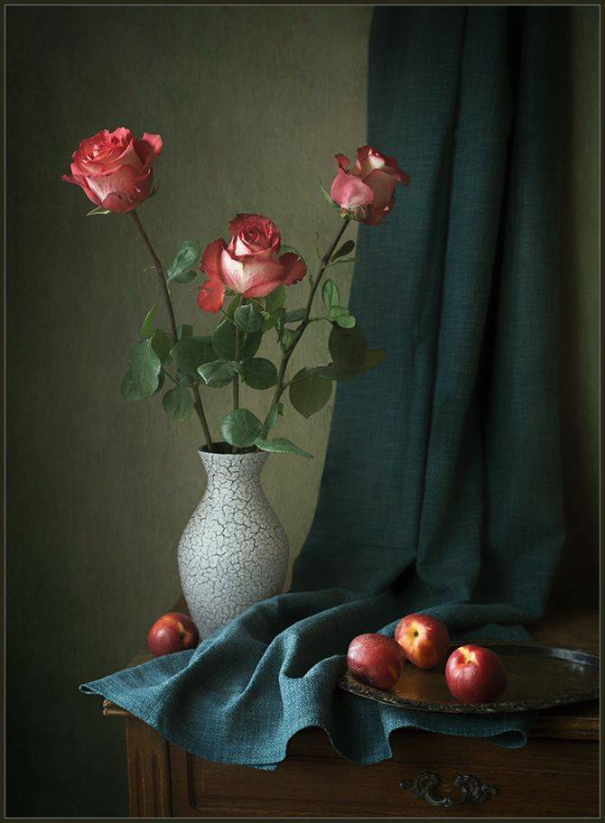 , Stein Georg