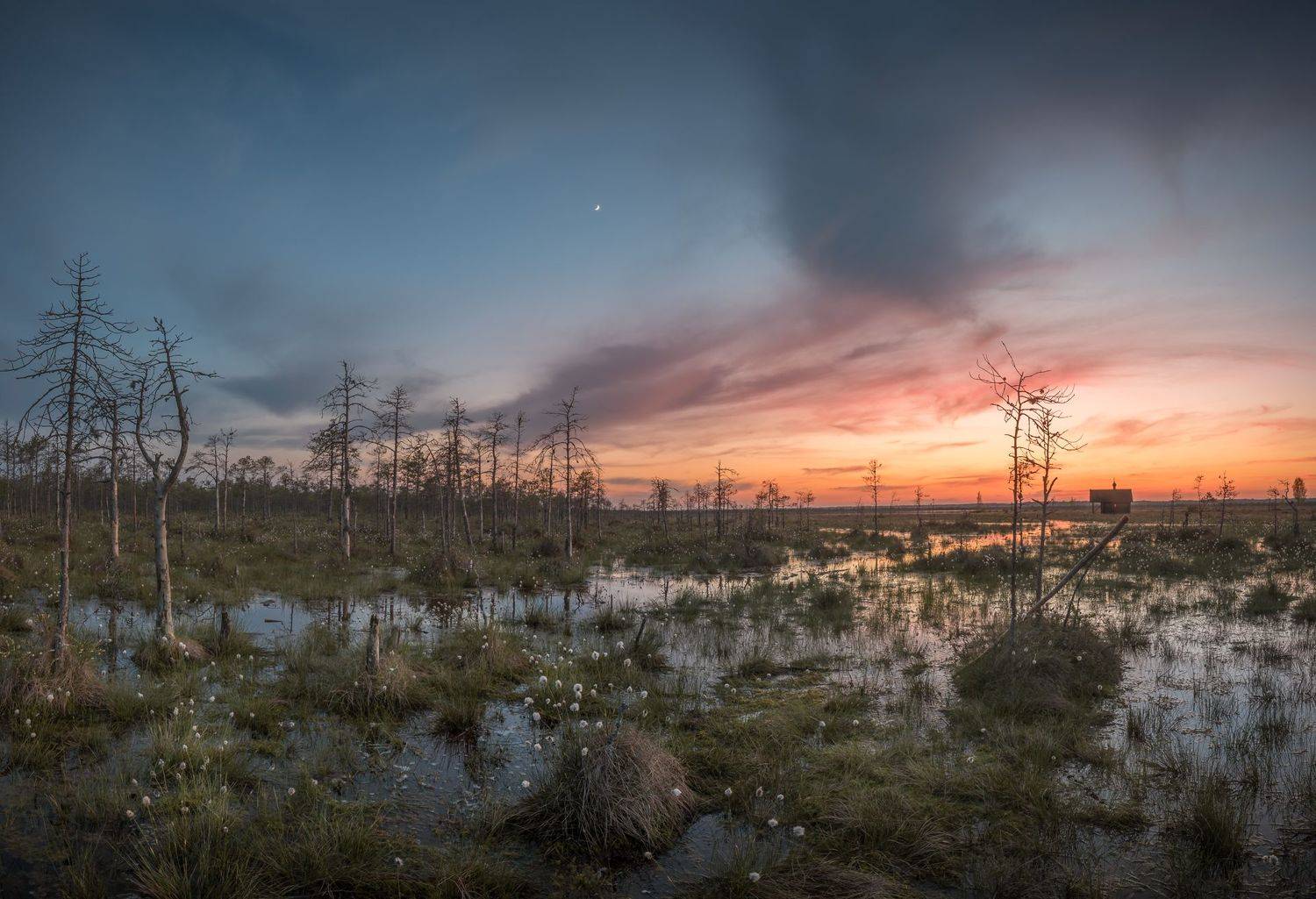 новгородская область,, Роман Фабричный