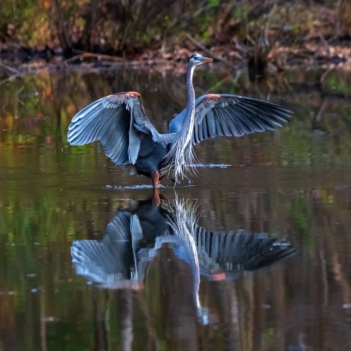 , Леонид Дьяченко