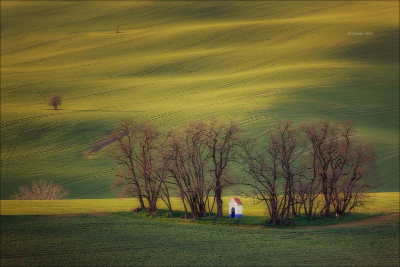 южная моравия,пейзаж,strážovická kaplička,линии,south moravian,lines,свет,czech,осень,чехия,landscapes,поле,hills Strážovická kaplička фото превью