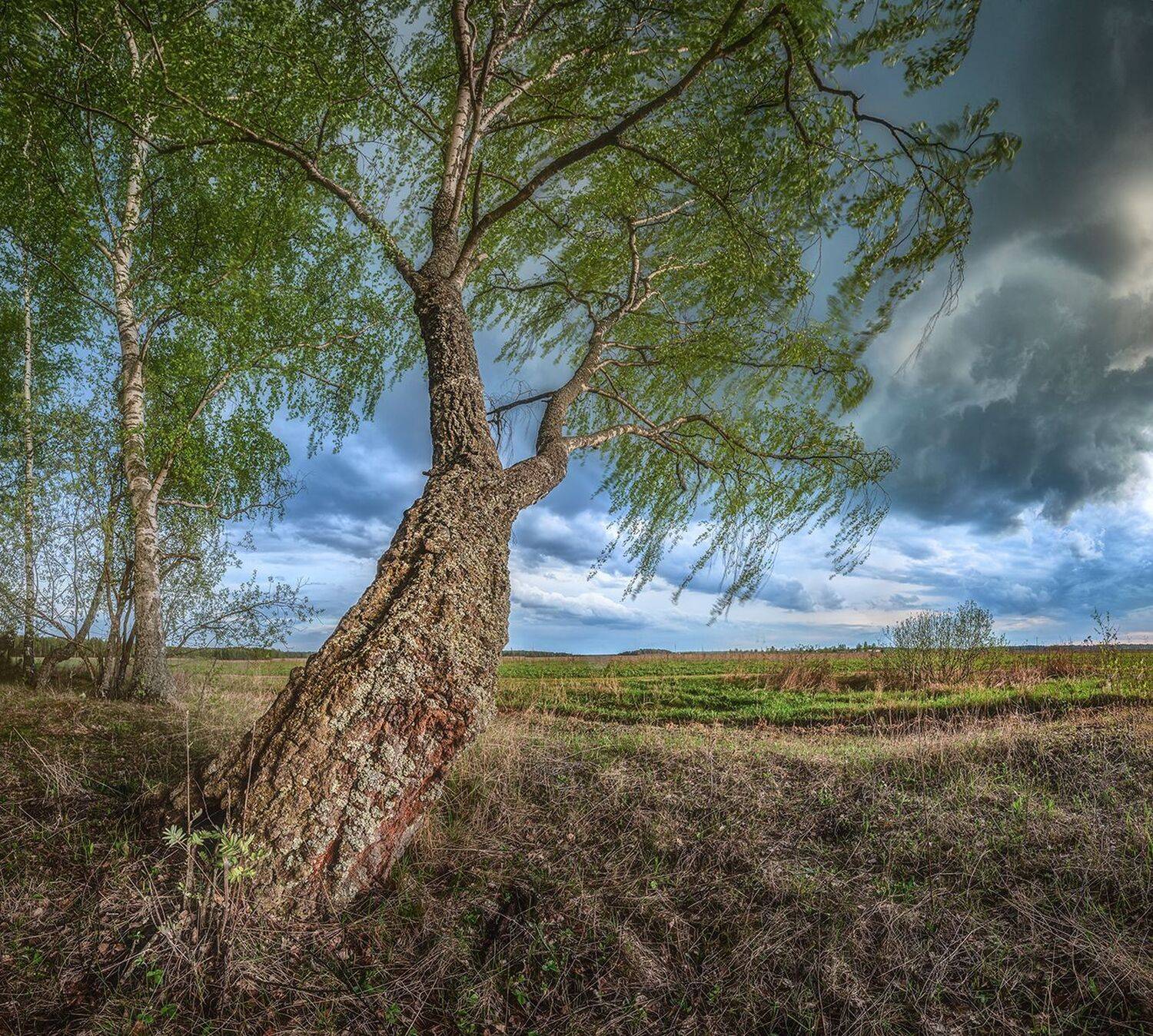 , Николай Андреев