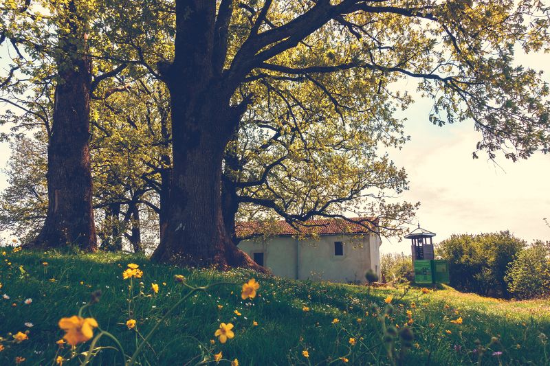 sony rx 100-4  фото превью