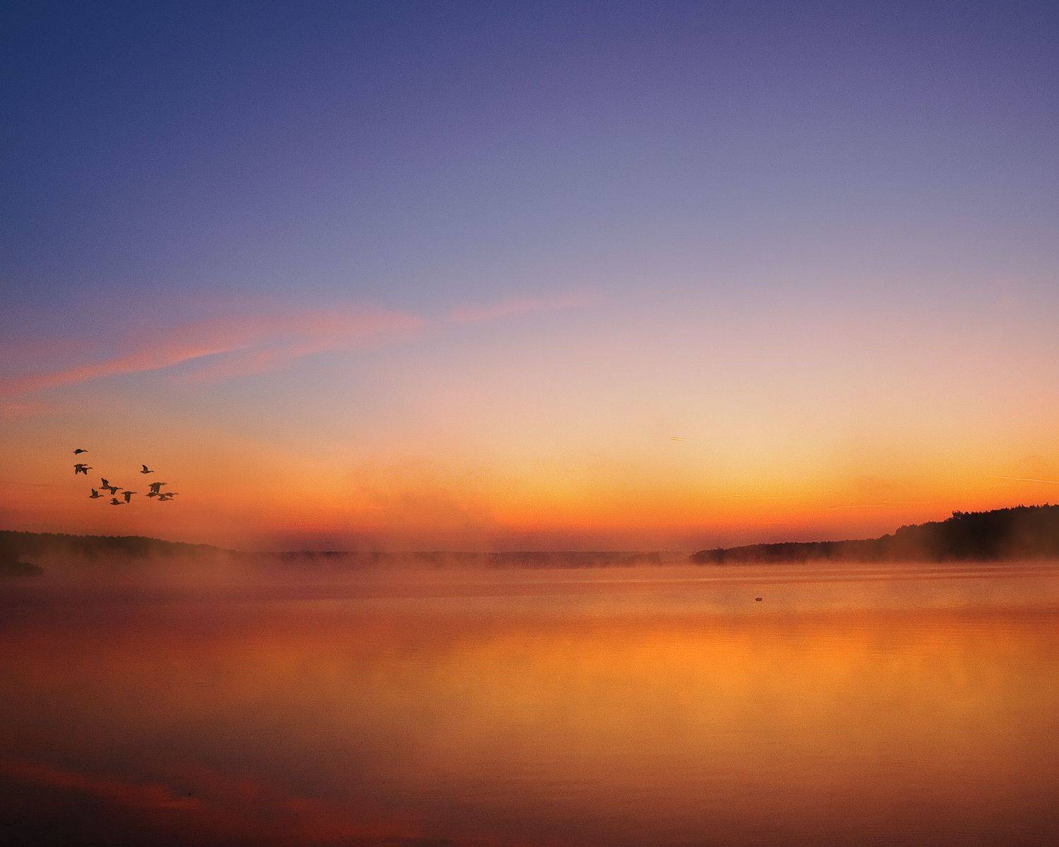 #morning #color #light #bird, Krystian