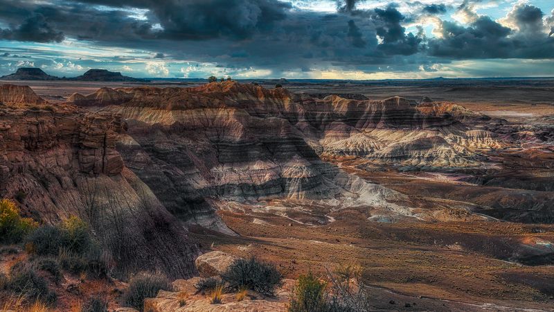 Аризона. Петрифайд форест фото превью