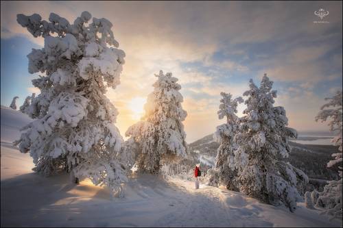 В гостях у зимней сказки...