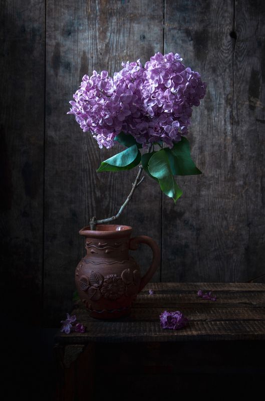 Время сирени фото превью