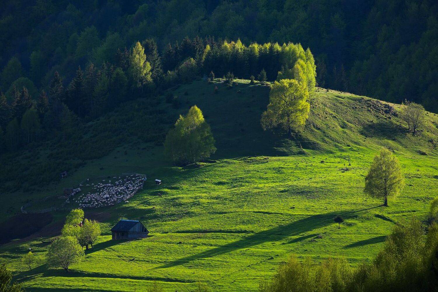 , Stefan Chirobocea