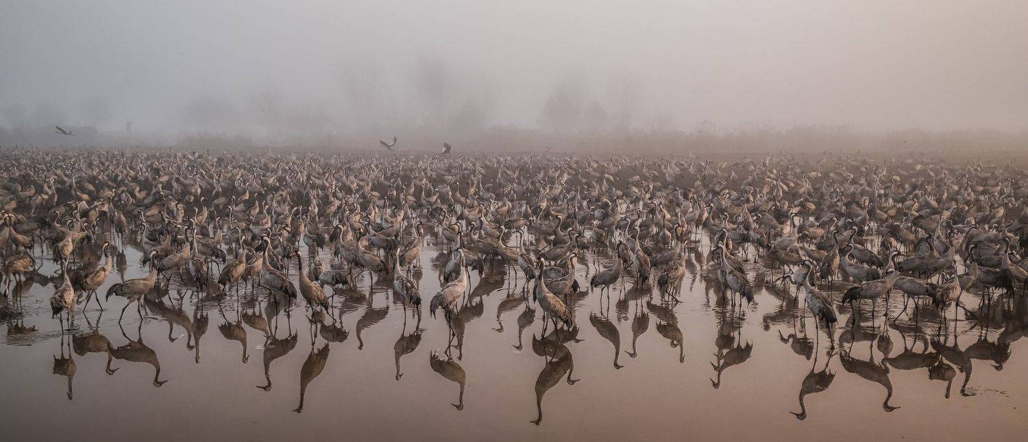 , Григорий Крамаренко