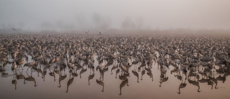 The Immensity фото превью